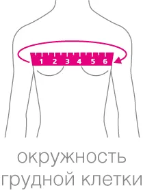 grudnaya-kletka_zh.png grudnaya-kletka_zh.png