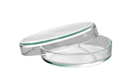 Чашка биологическая ЧМ (Петри) стеклянная 100*20мм толщина стенки 3мм